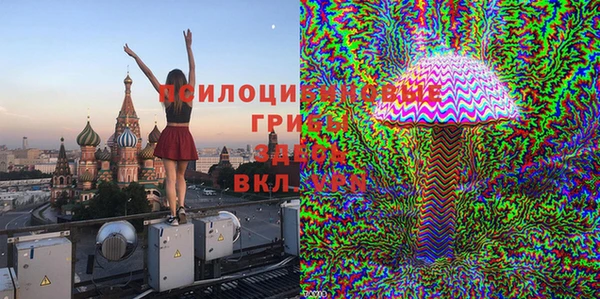 PSILOCYBIN Нязепетровск