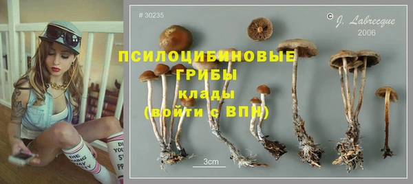 MESCALINE Алзамай